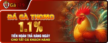 Banner Khuyến Mãi GA179